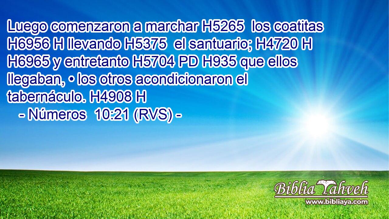 Luego comenzaron a marchar H5265  los coatitas H6956 H llevando H5375  el santuario; H4720 H H6965 y entretanto H5704 PD H935 que ellos llegaban, • los otros acondicionaron el tabernáculo. H4908 H 