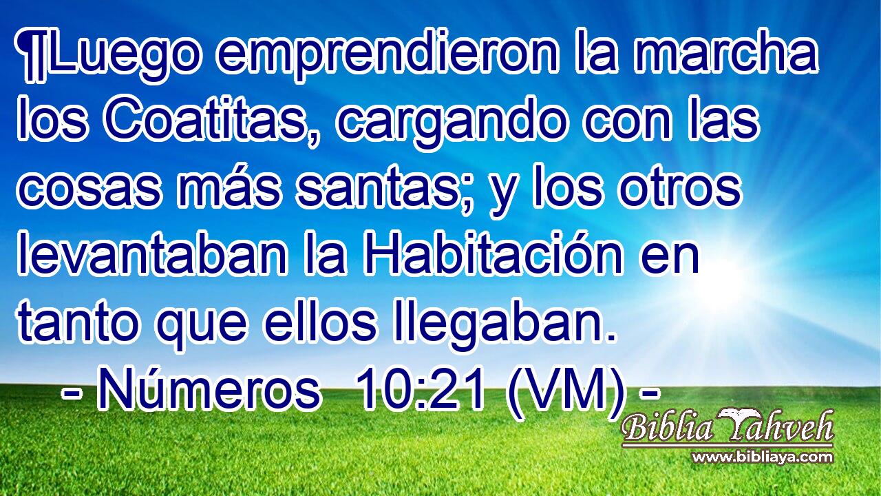  ¶Luego emprendieron la marcha los Coatitas, cargando con las cosas más santas; y los otros levantaban la Habitación en tanto que ellos llegaban. 