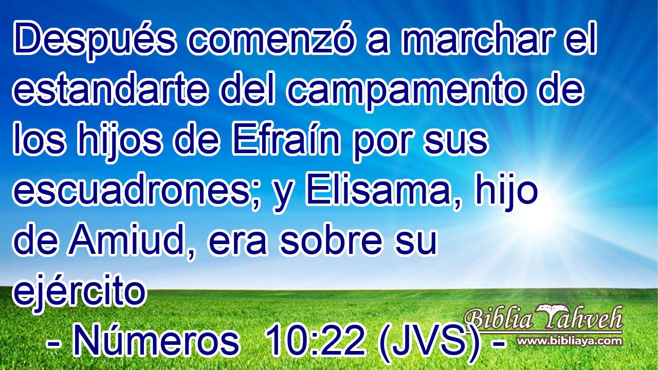 Después comenzó a marchar el estandarte del campamento de los hijos de Efraín por sus escuadrones; y Elisama, hijo de Amiud, era sobre su ejército