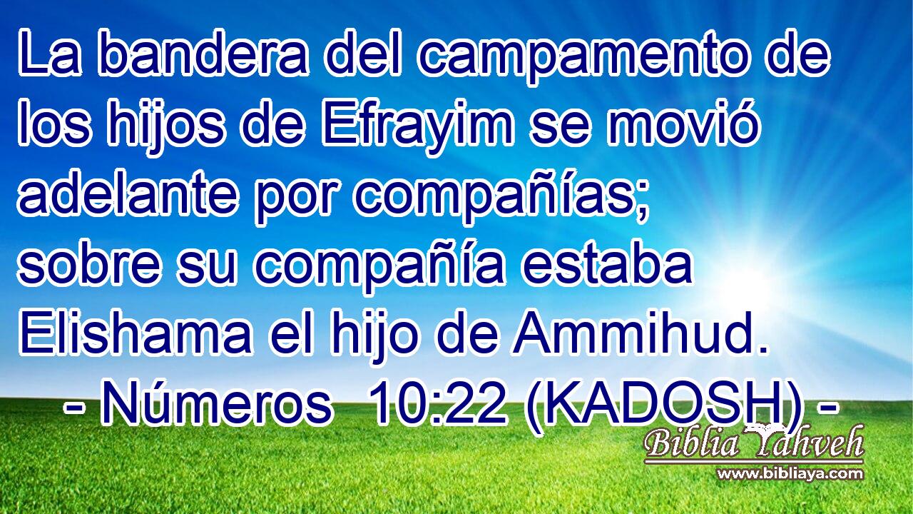  La bandera del campamento de los hijos de Efrayim se movió adelante por compañías; sobre su compañía estaba Elishama el hijo de Ammihud. 