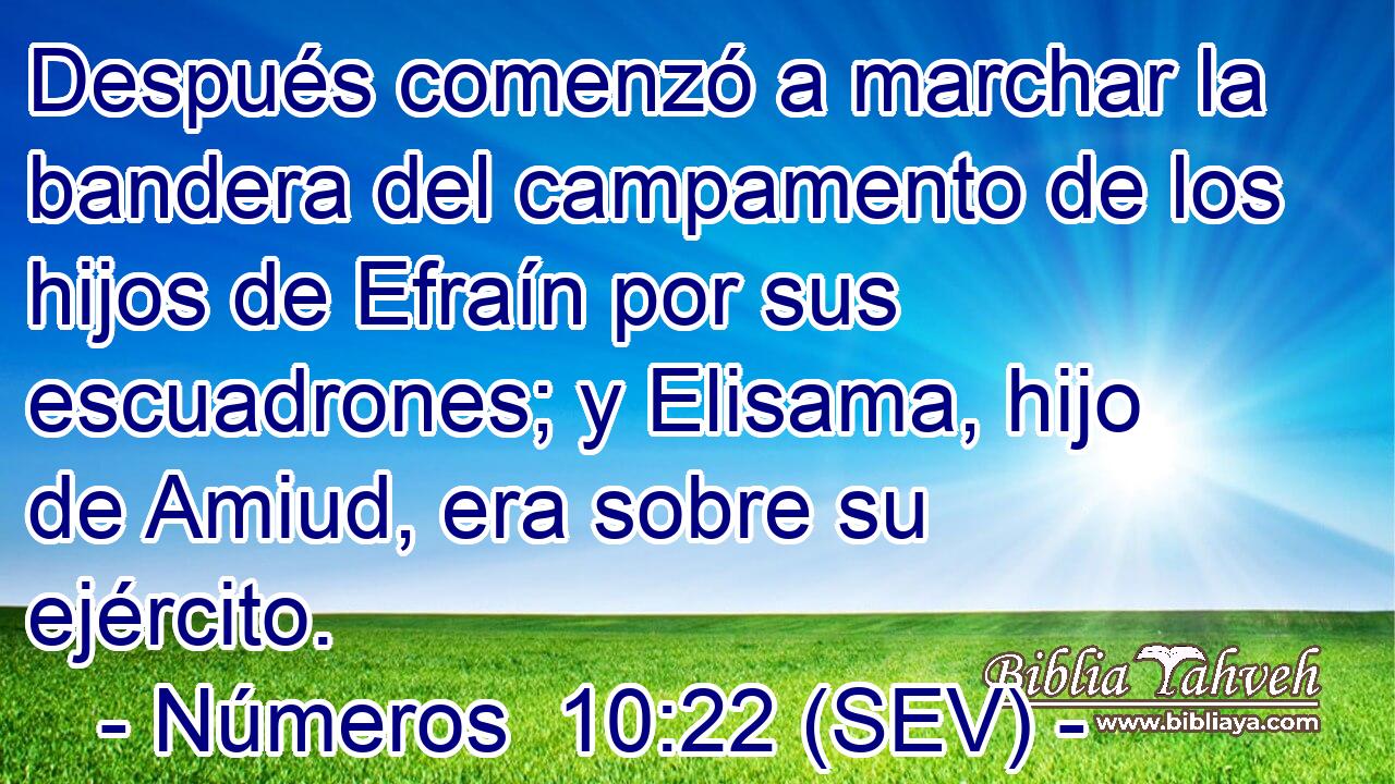 Después comenzó a marchar la bandera del campamento de los hijos de Efraín por sus escuadrones; y Elisama, hijo de Amiud, era sobre su ejército.