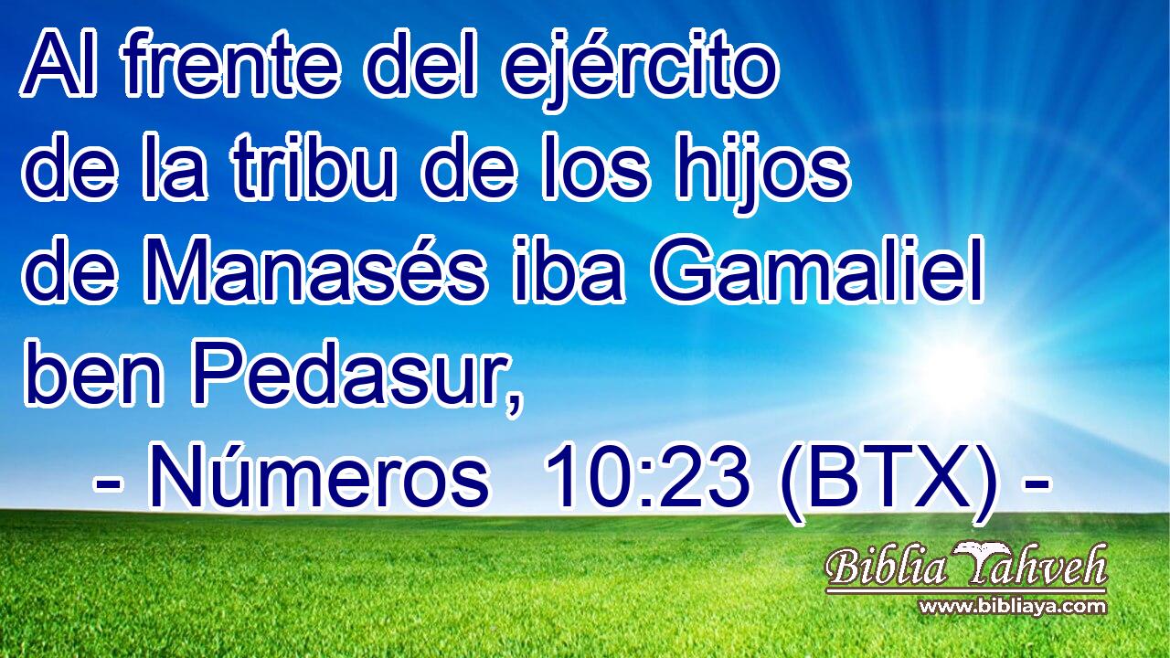 Al frente del ejército de la tribu de los hijos de Manasés iba Gamaliel ben Pedasur,