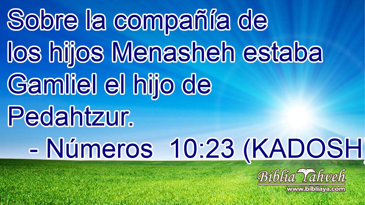  Sobre la compañía de los hijos Menasheh estaba Gamliel el hijo de Pedahtzur. 