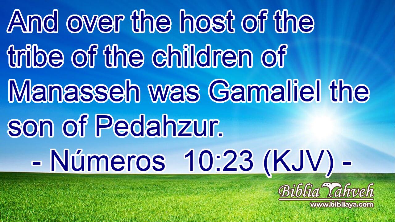 And over the host of the tribe of the children of Manasseh was Gamaliel the son of Pedahzur.