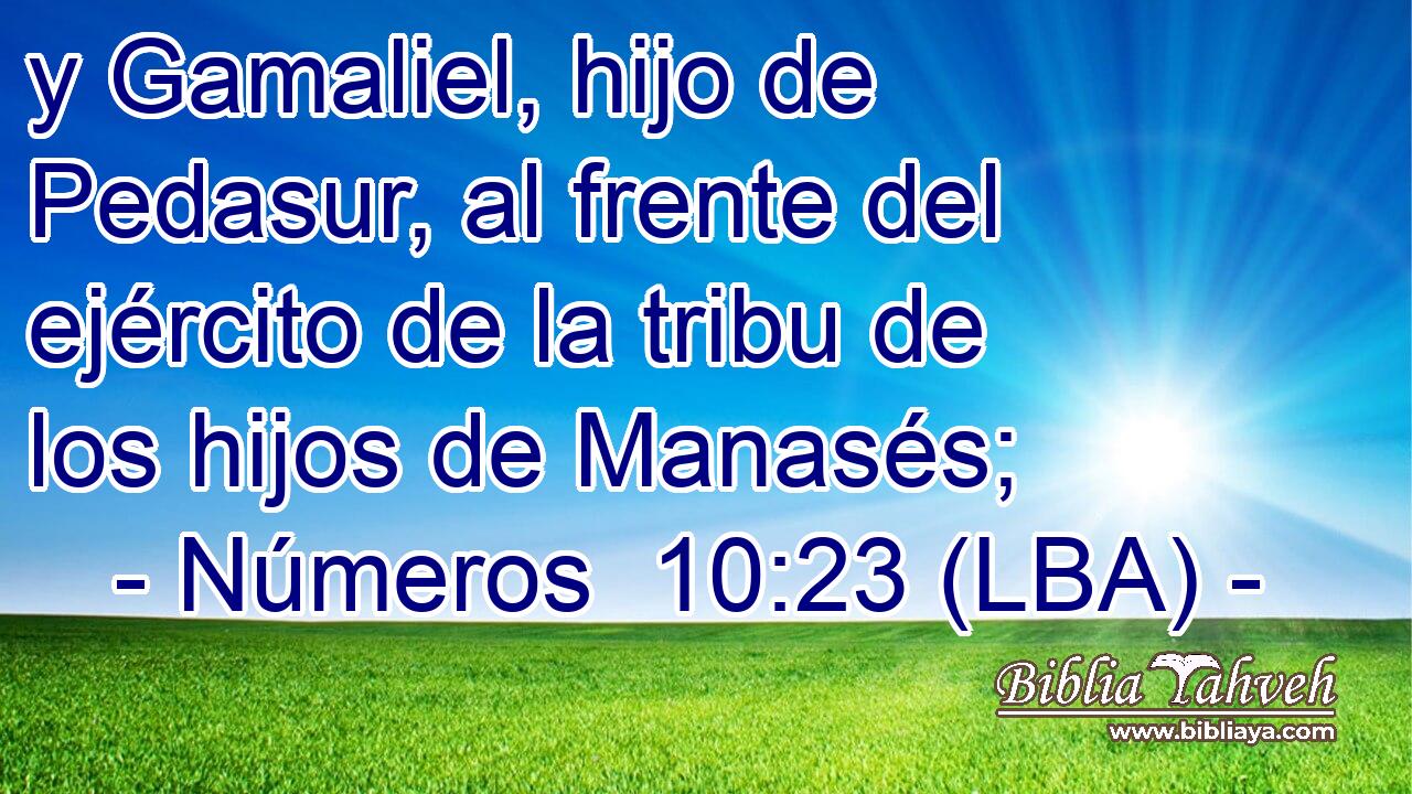 y Gamaliel, hijo de Pedasur, al frente del ejército de la tribu de los hijos de Manasés;