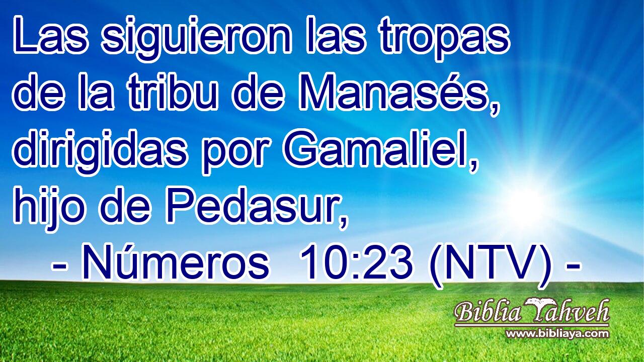 Las siguieron las tropas de la tribu de Manasés, dirigidas por Gamaliel, hijo de Pedasur,