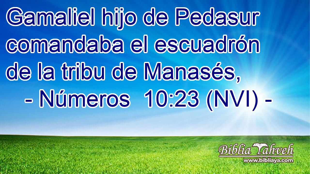  Gamaliel hijo de Pedasur comandaba el escuadrón de la tribu de Manasés, 
