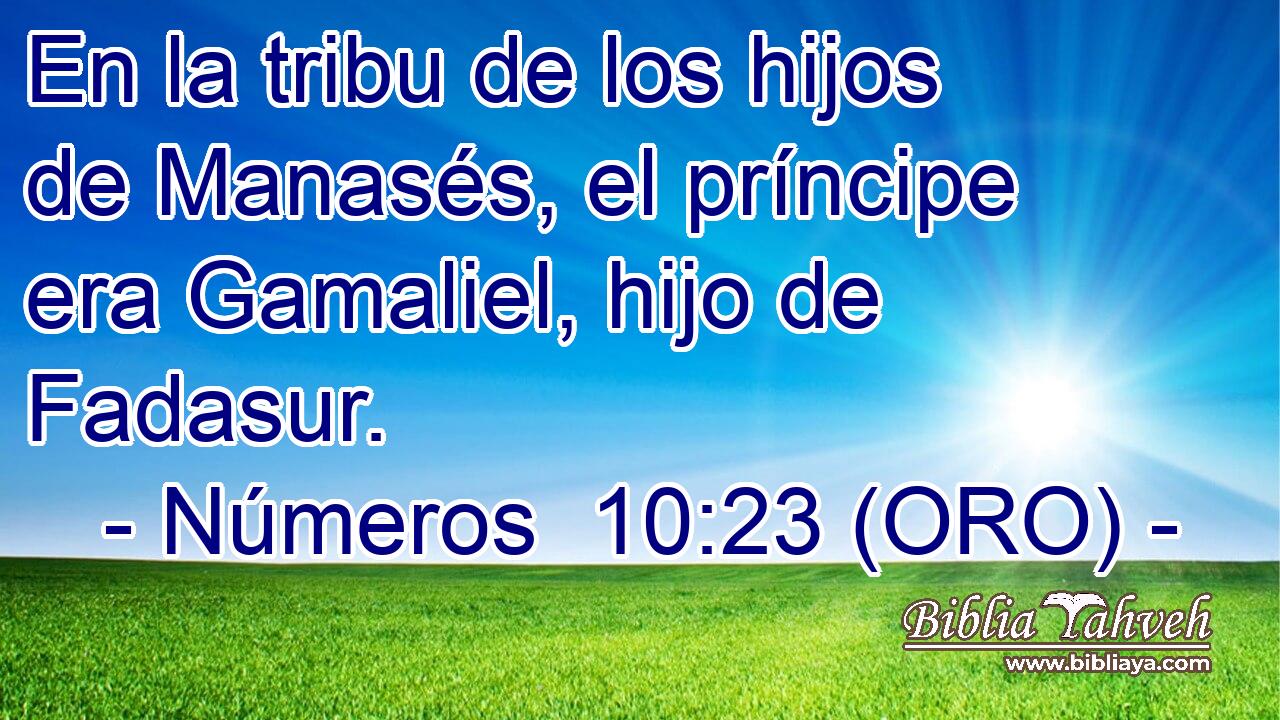  En la tribu de los hijos de Manasés, el príncipe era Gamaliel, hijo de Fadasur. 