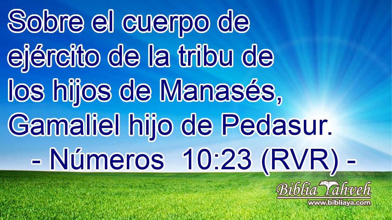 Sobre el cuerpo de ejército de la tribu de los hijos de Manasés, Gamaliel hijo de Pedasur.