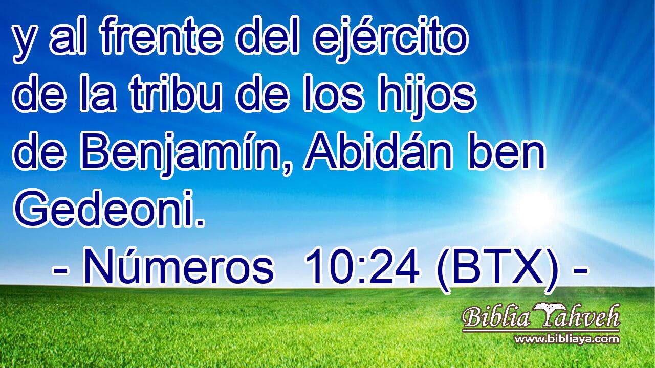 y al frente del ejército de la tribu de los hijos de Benjamín, Abidán ben Gedeoni.