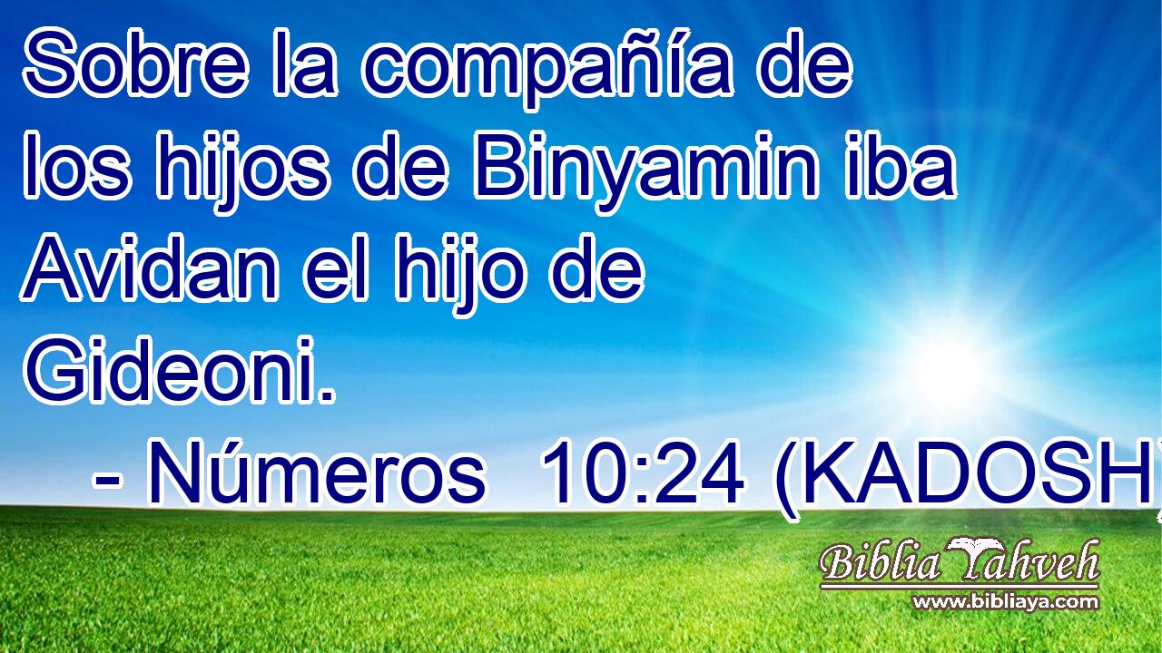 Sobre la compañía de los hijos de Binyamin iba Avidan el hijo de Gideoni. 
