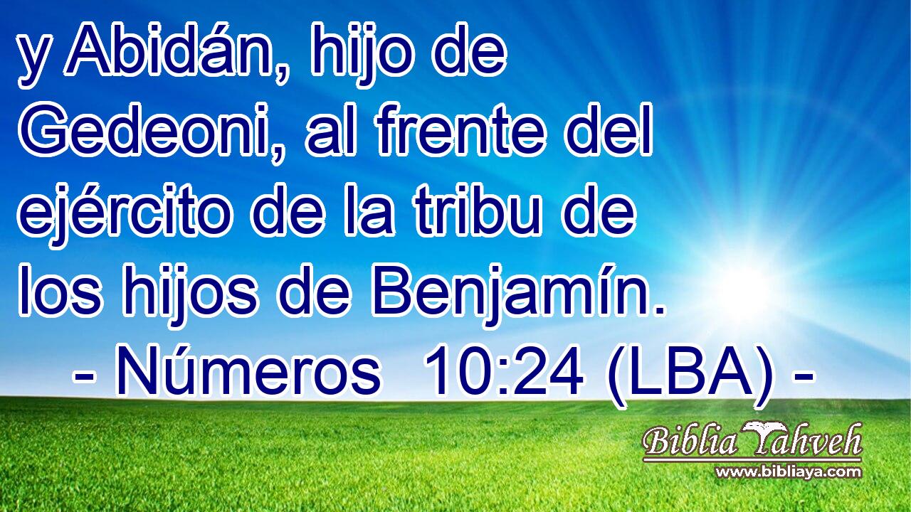 y Abidán, hijo de Gedeoni, al frente del ejército de la tribu de los hijos de Benjamín.