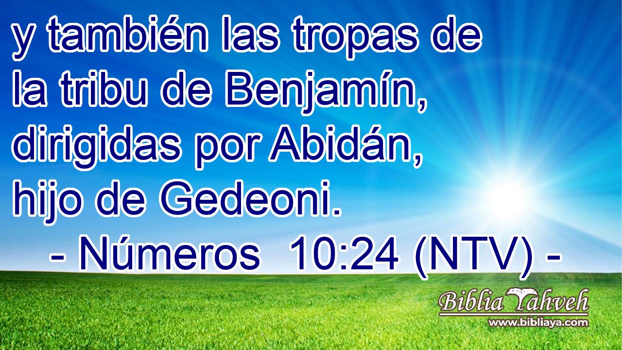 y también las tropas de la tribu de Benjamín, dirigidas por Abidán, hijo de Gedeoni.