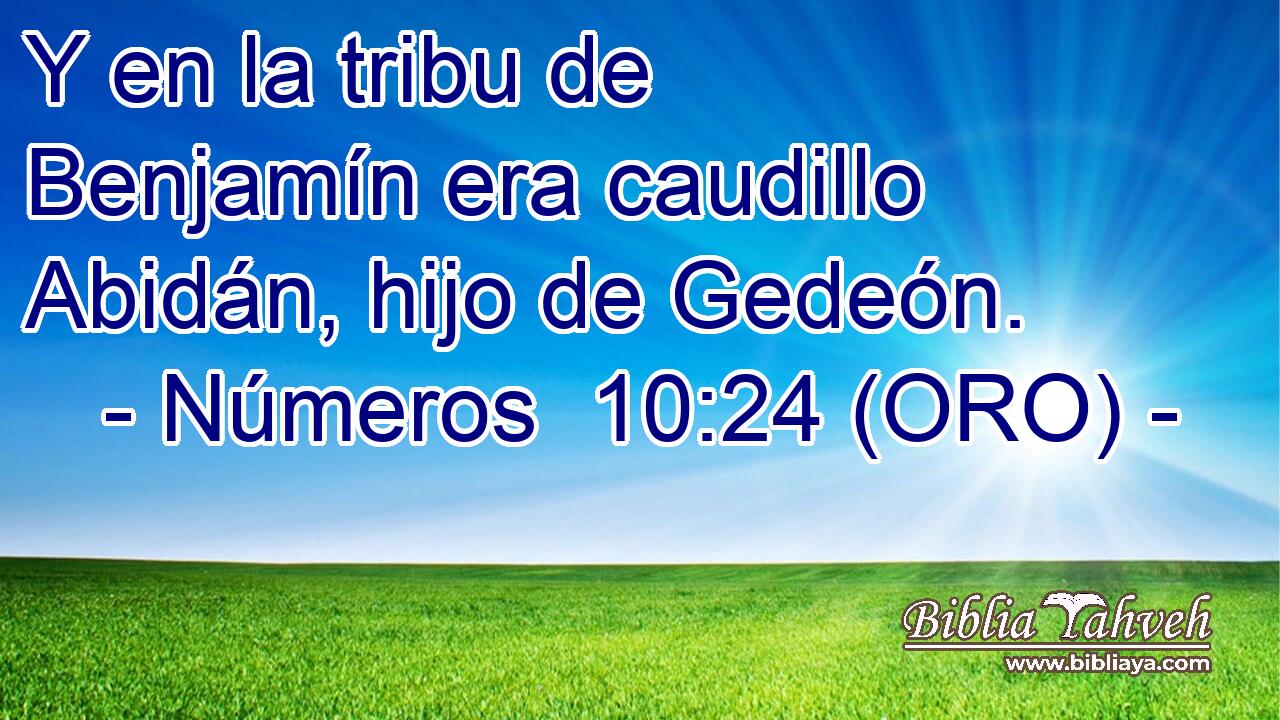  Y en la tribu de Benjamín era caudillo Abidán, hijo de Gedeón. 