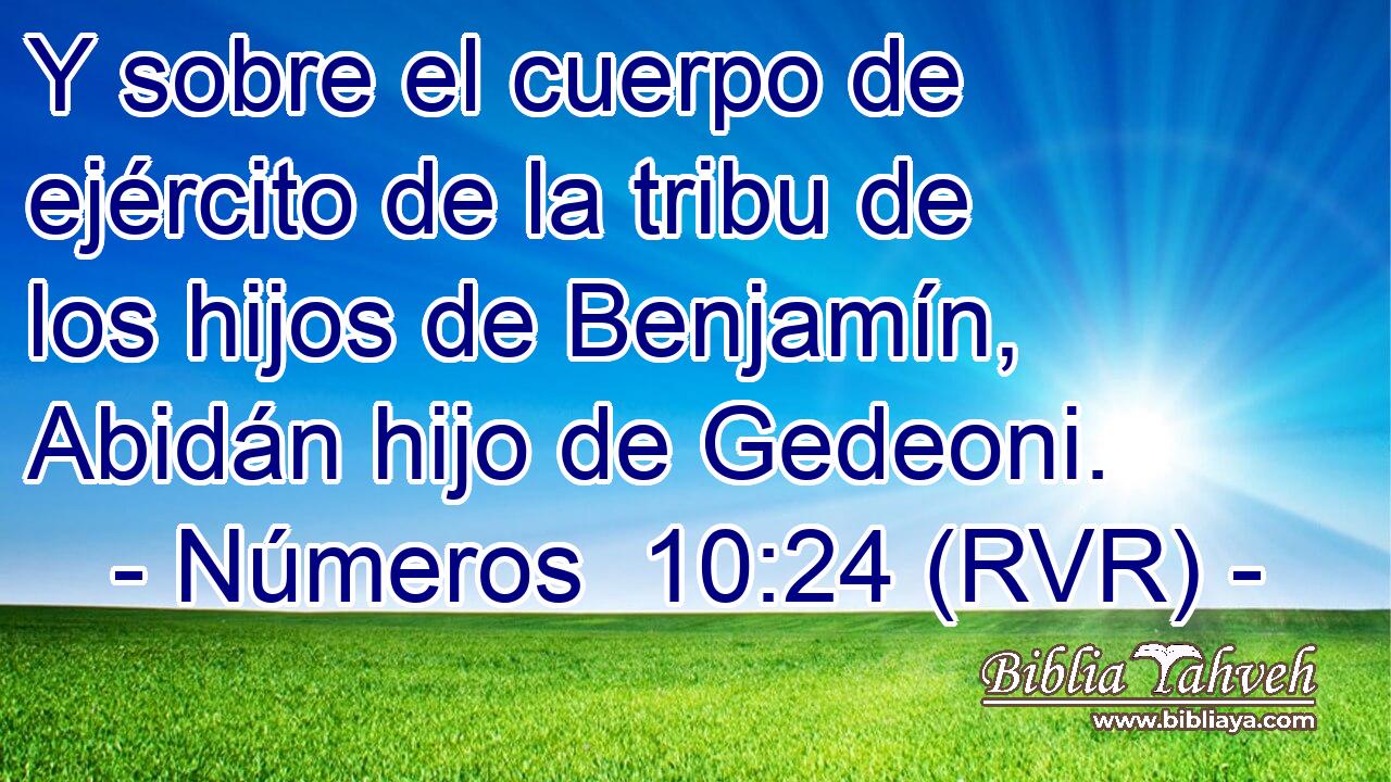 Y sobre el cuerpo de ejército de la tribu de los hijos de Benjamín, Abidán hijo de Gedeoni.