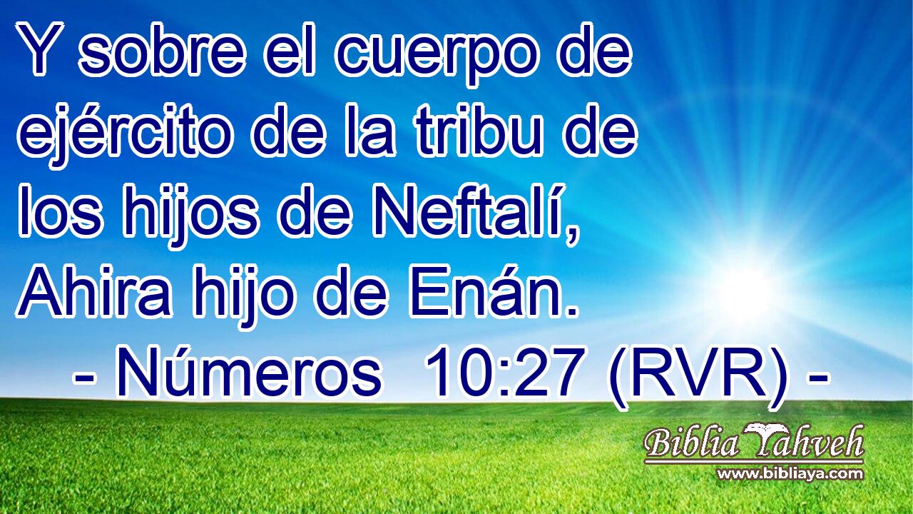 Y sobre el cuerpo de ejército de la tribu de los hijos de Neftalí, Ahira hijo de Enán.