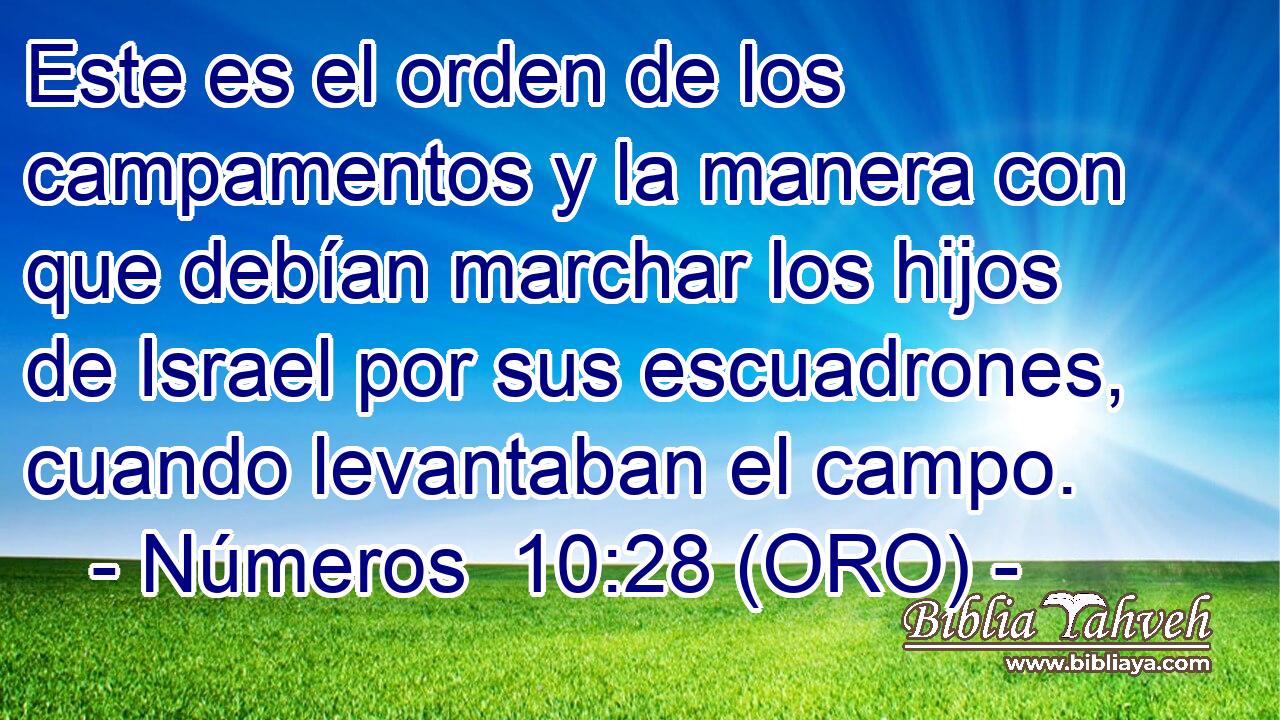  Este es el orden de los campamentos y la manera con que debían marchar los hijos de Israel por sus escuadrones, cuando levantaban el campo. 