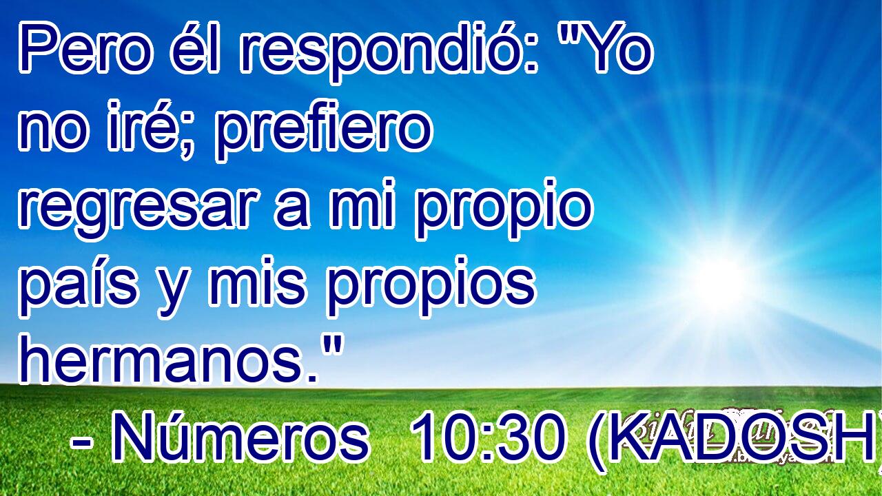  Pero él respondió: 