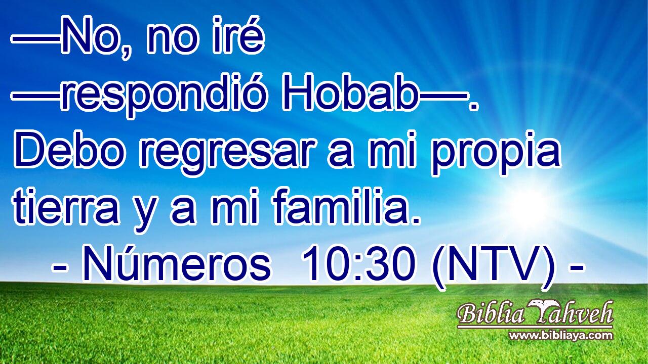 —No, no iré —respondió Hobab—. Debo regresar a mi propia tierra y a mi familia.