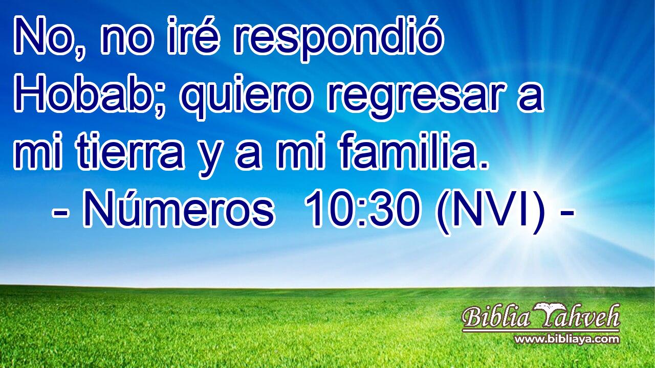  No, no iré respondió Hobab; quiero regresar a mi tierra y a mi familia. 