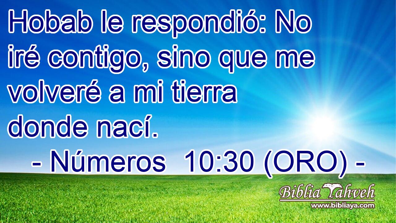  Hobab le respondió: No iré contigo, sino que me volveré a mi tierra donde nací. 