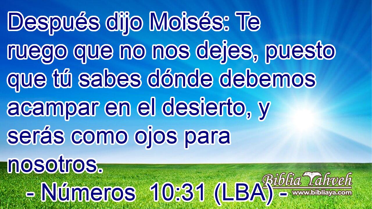 Después dijo Moisés: Te ruego que no nos dejes, puesto que tú sabes dónde debemos acampar en el desierto, y serás como ojos para nosotros.