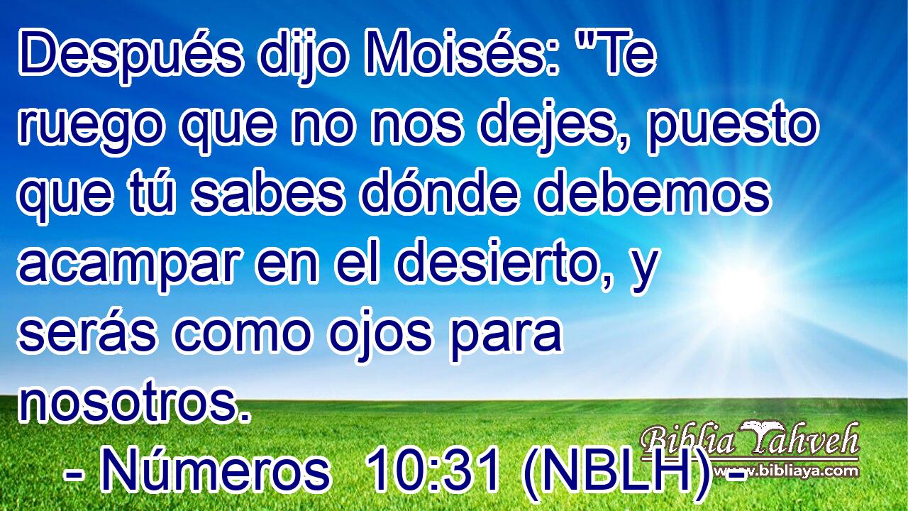  Después dijo Moisés: 