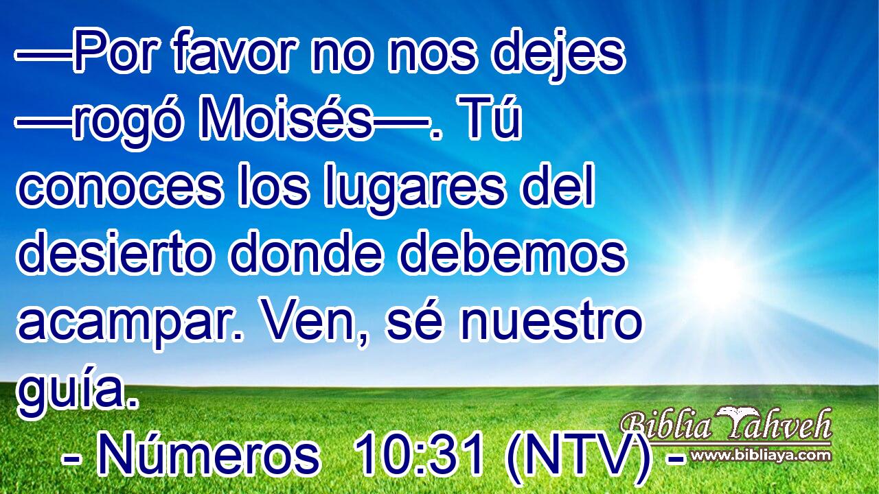 —Por favor no nos dejes —rogó Moisés—. Tú conoces los lugares del desierto donde debemos acampar. Ven, sé nuestro guía.