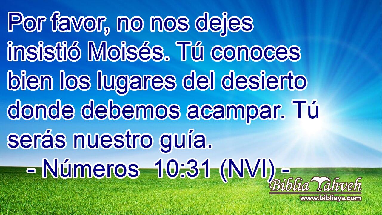  Por favor, no nos dejes insistió Moisés. Tú conoces bien los lugares del desierto donde debemos acampar. Tú serás nuestro guía. 