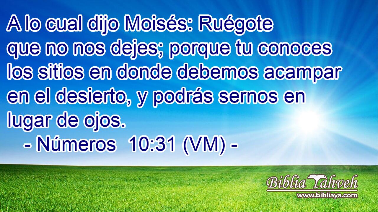  A lo cual dijo Moisés: Ruégote que no nos dejes; porque tu conoces los sitios en donde debemos acampar en el desierto, y podrás sernos en lugar de ojos. 