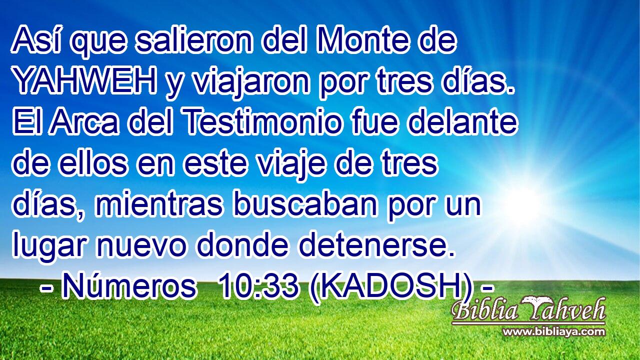  Así que salieron del Monte de YAHWEH y viajaron por tres días. El Arca del Testimonio fue delante de ellos en este viaje de tres días, mientras buscaban por un lugar nuevo donde detenerse. 