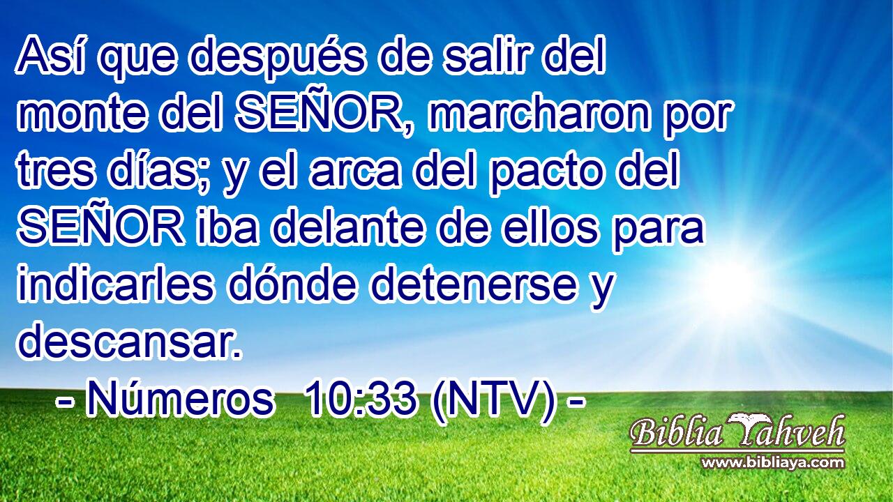Así que después de salir del monte del SEÑOR, marcharon por tres días; y el arca del pacto del SEÑOR iba delante de ellos para indicarles dónde detenerse y descansar.