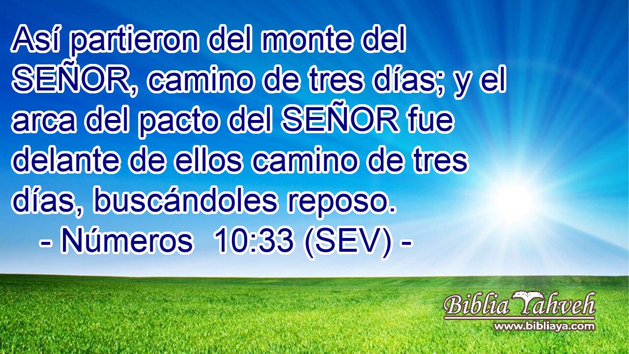 Así partieron del monte del SEÑOR, camino de tres días; y el arca del pacto del SEÑOR fue delante de ellos camino de tres días, buscándoles reposo.
