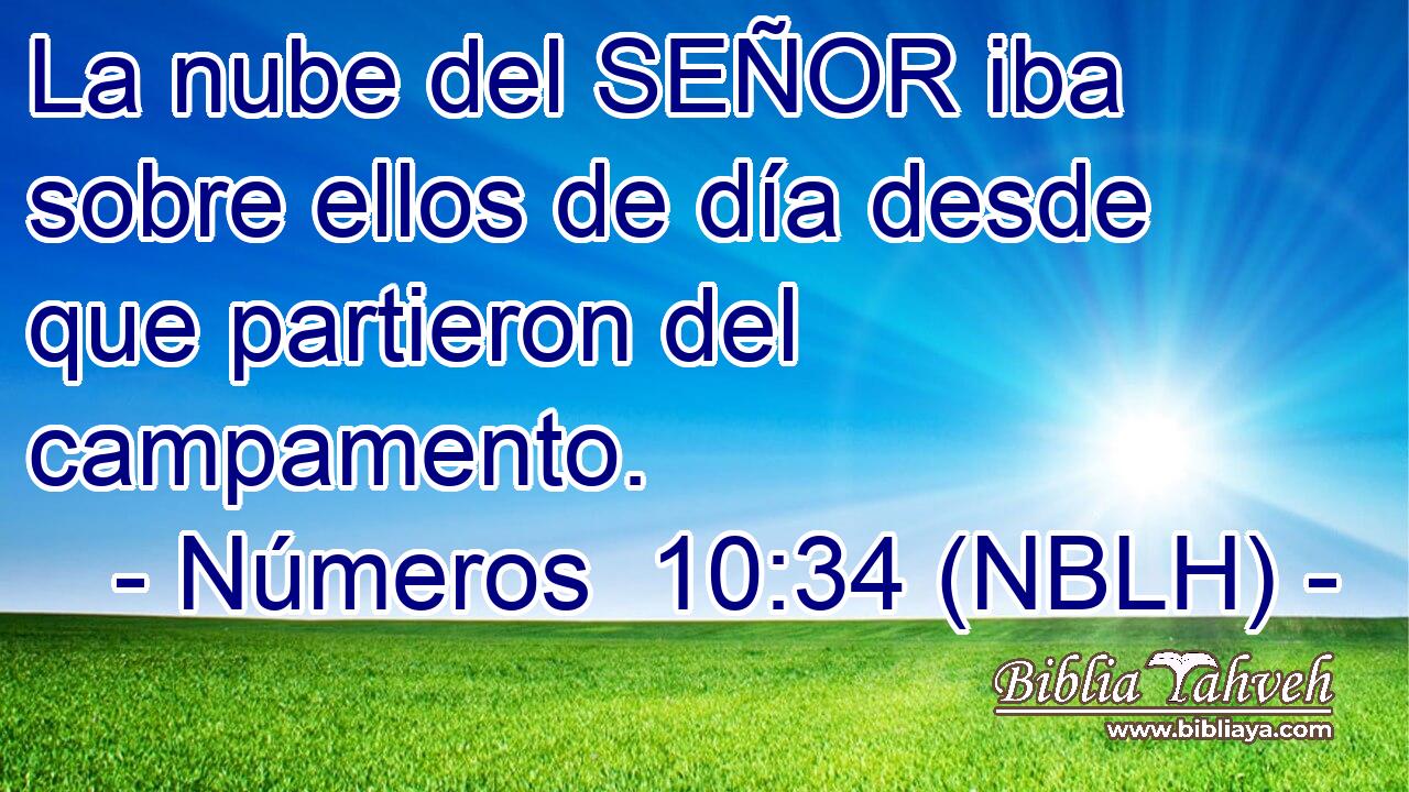  La nube del SEÑOR iba sobre ellos de día desde que partieron del campamento. 