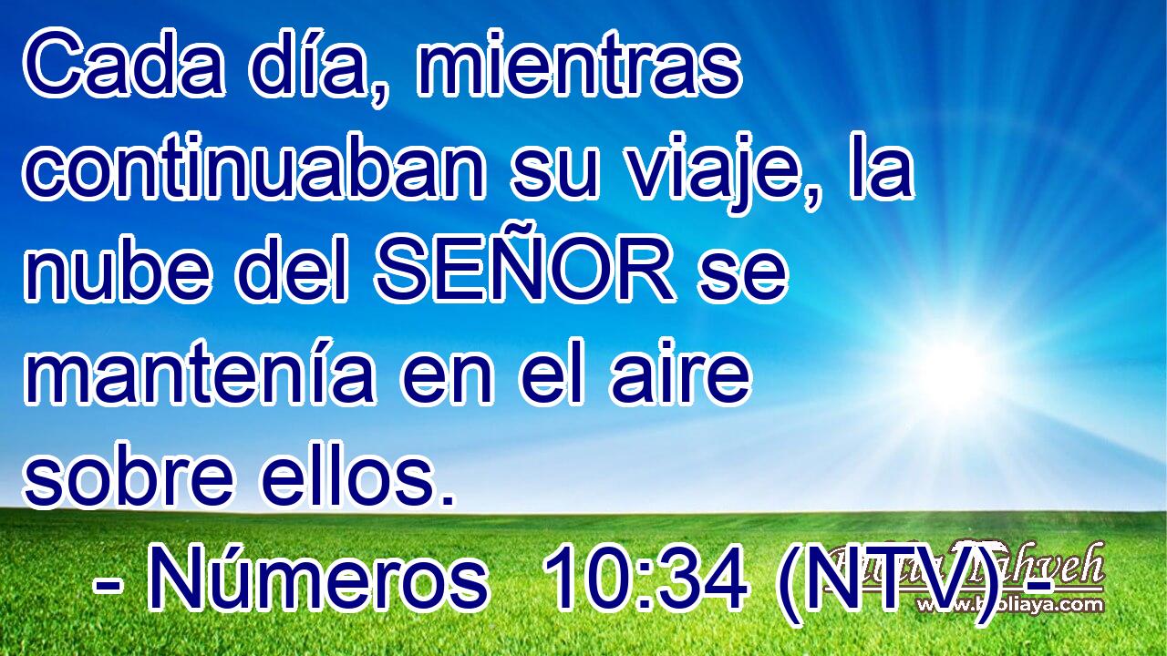 Cada día, mientras continuaban su viaje, la nube del SEÑOR se mantenía en el aire sobre ellos.