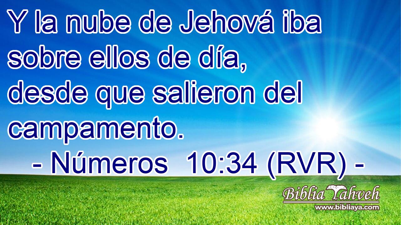 Y la nube de Jehová iba sobre ellos de día, desde que salieron del campamento.