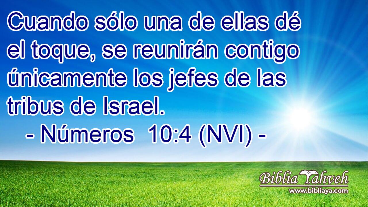  Cuando sólo una de ellas dé el toque, se reunirán contigo únicamente los jefes de las tribus de Israel. 