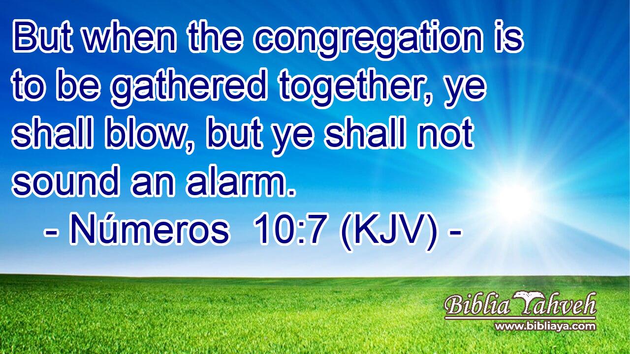 But when the congregation is to be gathered together, ye shall blow, but ye shall not sound an alarm.