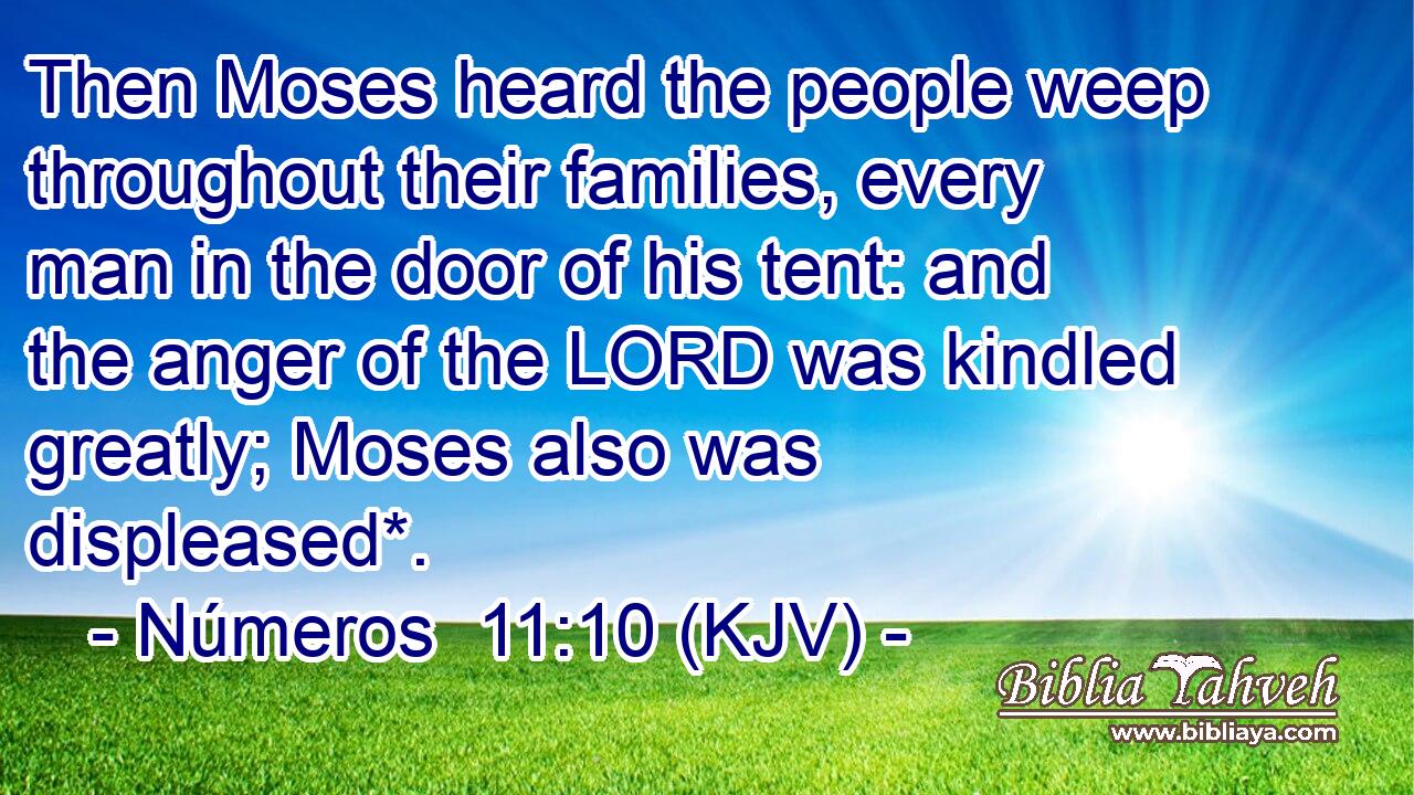Then Moses heard the people weep throughout their families, every man in the door of his tent: and the anger of the LORD was kindled greatly; Moses also was displeased*.