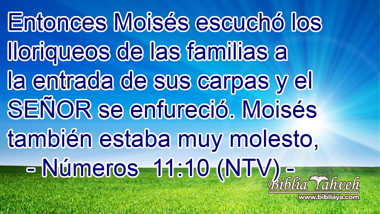 Entonces Moisés escuchó los lloriqueos de las familias a la entrada de sus carpas y el SEÑOR se enfureció. Moisés también estaba muy molesto,