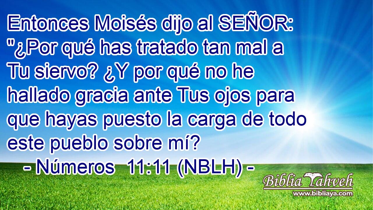  Entonces Moisés dijo al SEÑOR: 