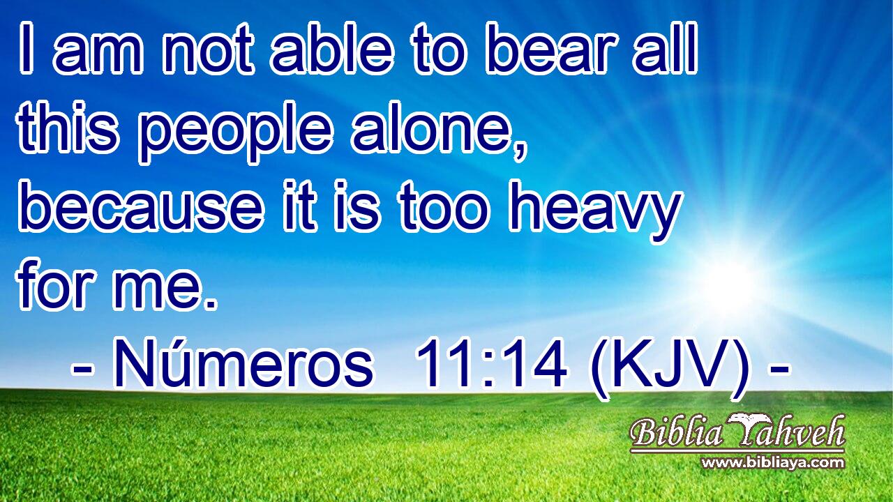 I am not able to bear all this people alone, because it is too heavy for me.