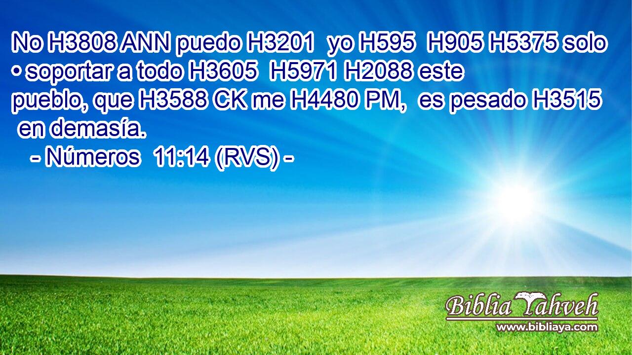 No H3808 ANN puedo H3201  yo H595  H905 H5375 solo • soportar a todo H3605  H5971 H2088 este pueblo, que H3588 CK me H4480 PM,  es pesado H3515  en demasía. 