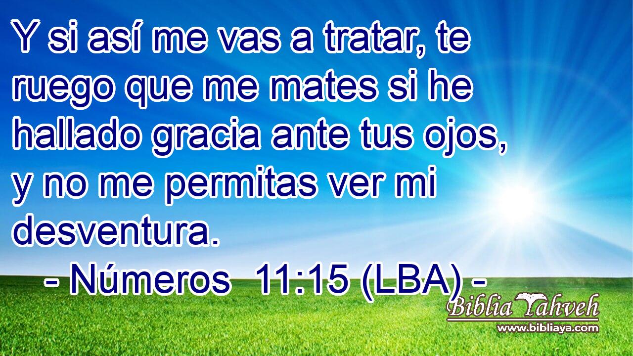 Y si así me vas a tratar, te ruego que me mates si he hallado gracia ante tus ojos, y no me permitas ver mi desventura.