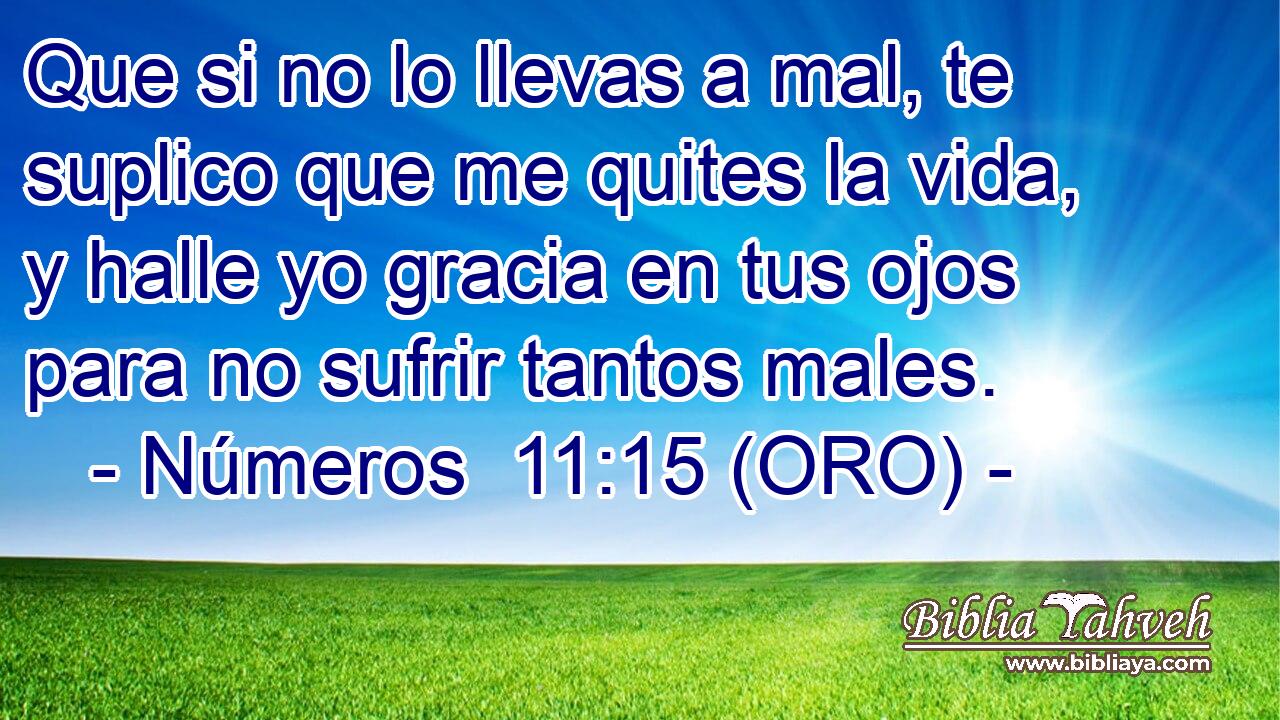  Que si no lo llevas a mal, te suplico que me quites la vida, y halle yo gracia en tus ojos para no sufrir tantos males. 