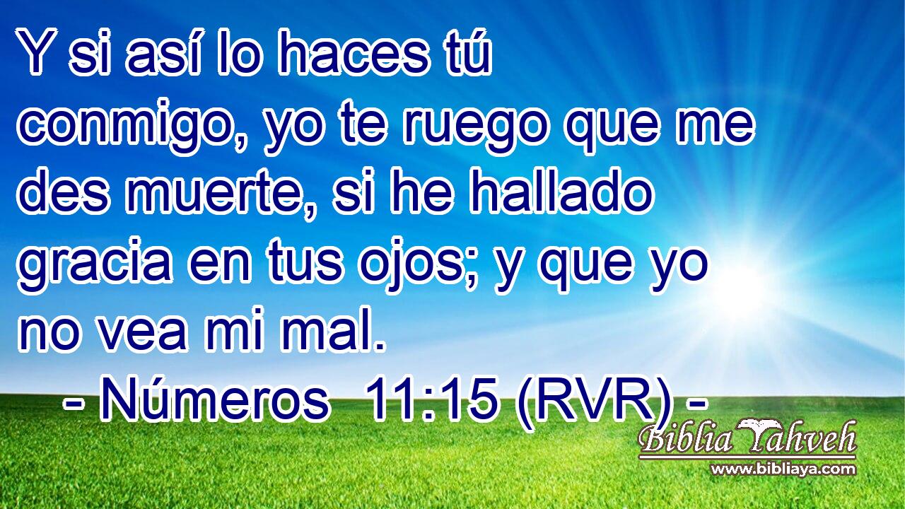 Y si así lo haces tú conmigo, yo te ruego que me des muerte, si he hallado gracia en tus ojos; y que yo no vea mi mal.