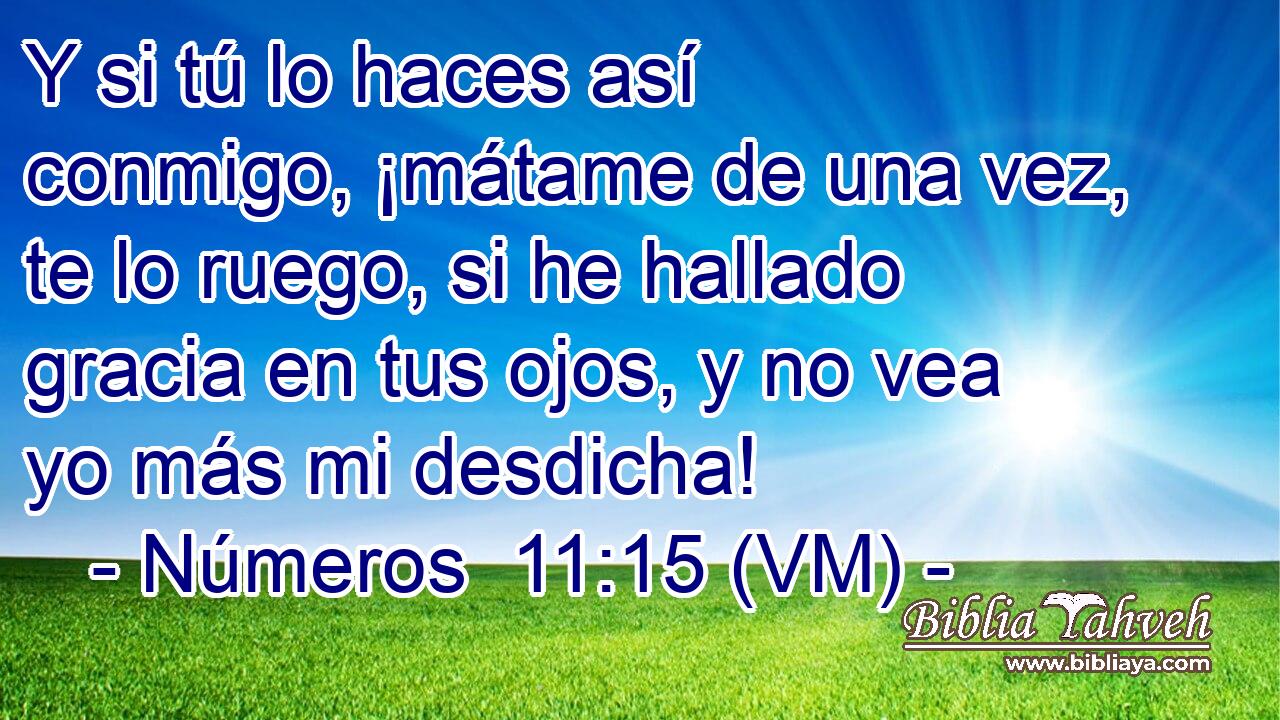  Y si tú lo haces así conmigo, ¡mátame de una vez, te lo ruego, si he hallado gracia en tus ojos, y no vea yo más mi desdicha! 