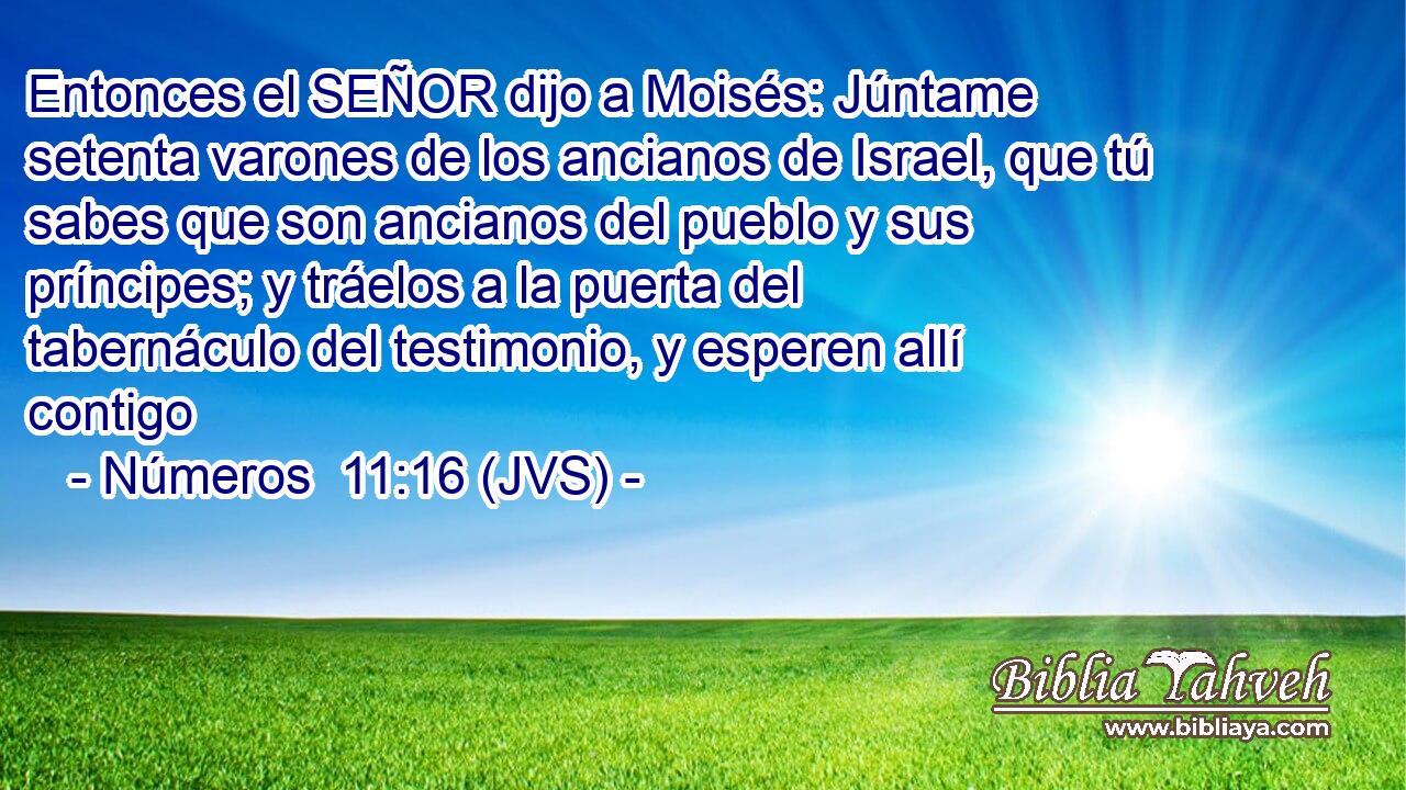 Entonces el SEÑOR dijo a Moisés: Júntame setenta varones de los ancianos de Israel, que tú sabes que son ancianos del pueblo y sus príncipes; y tráelos a la puerta del tabernáculo del testimonio, y esperen allí contigo