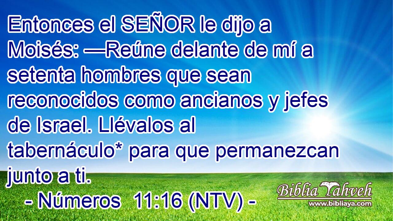 Entonces el SEÑOR le dijo a Moisés: —Reúne delante de mí a setenta hombres que sean reconocidos como ancianos y jefes de Israel. Llévalos al tabernáculo* para que permanezcan junto a ti.
