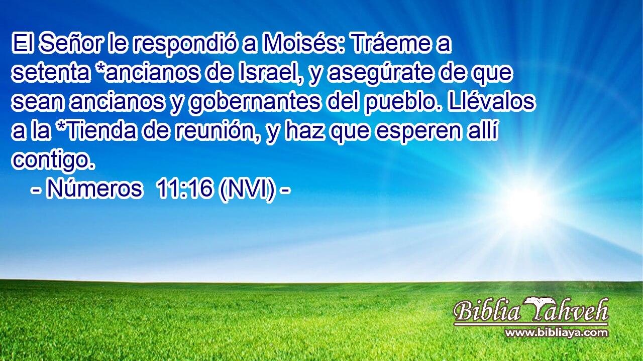  El Señor le respondió a Moisés: Tráeme a setenta *ancianos de Israel, y asegúrate de que sean ancianos y gobernantes del pueblo. Llévalos a la *Tienda de reunión, y haz que esperen allí contigo. 